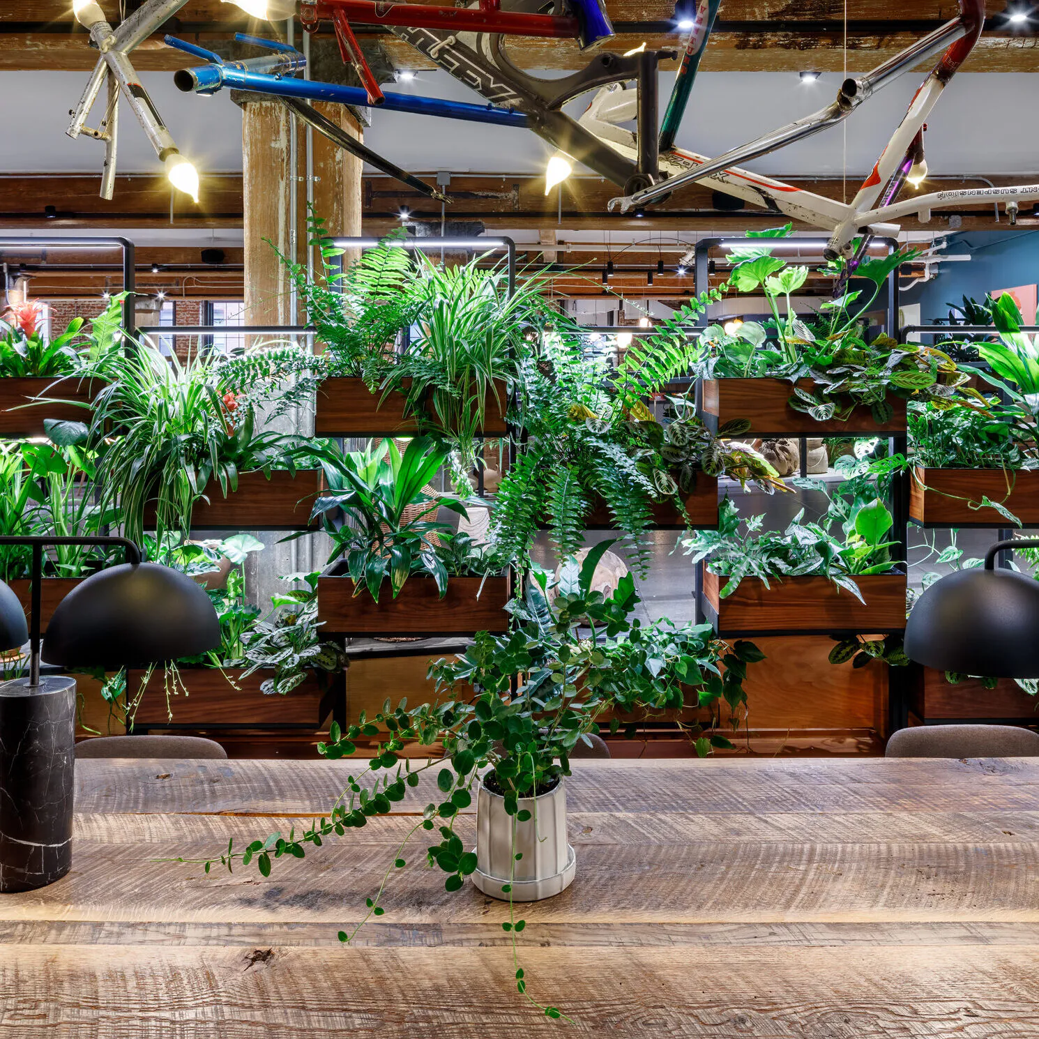 Green Divider installation at Chelsea Market separating a high-traffic corridor from a focused work area