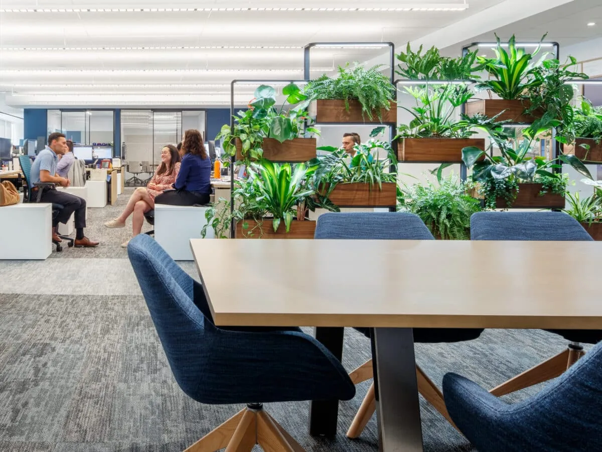 Green Divider operational in a real-world office setting