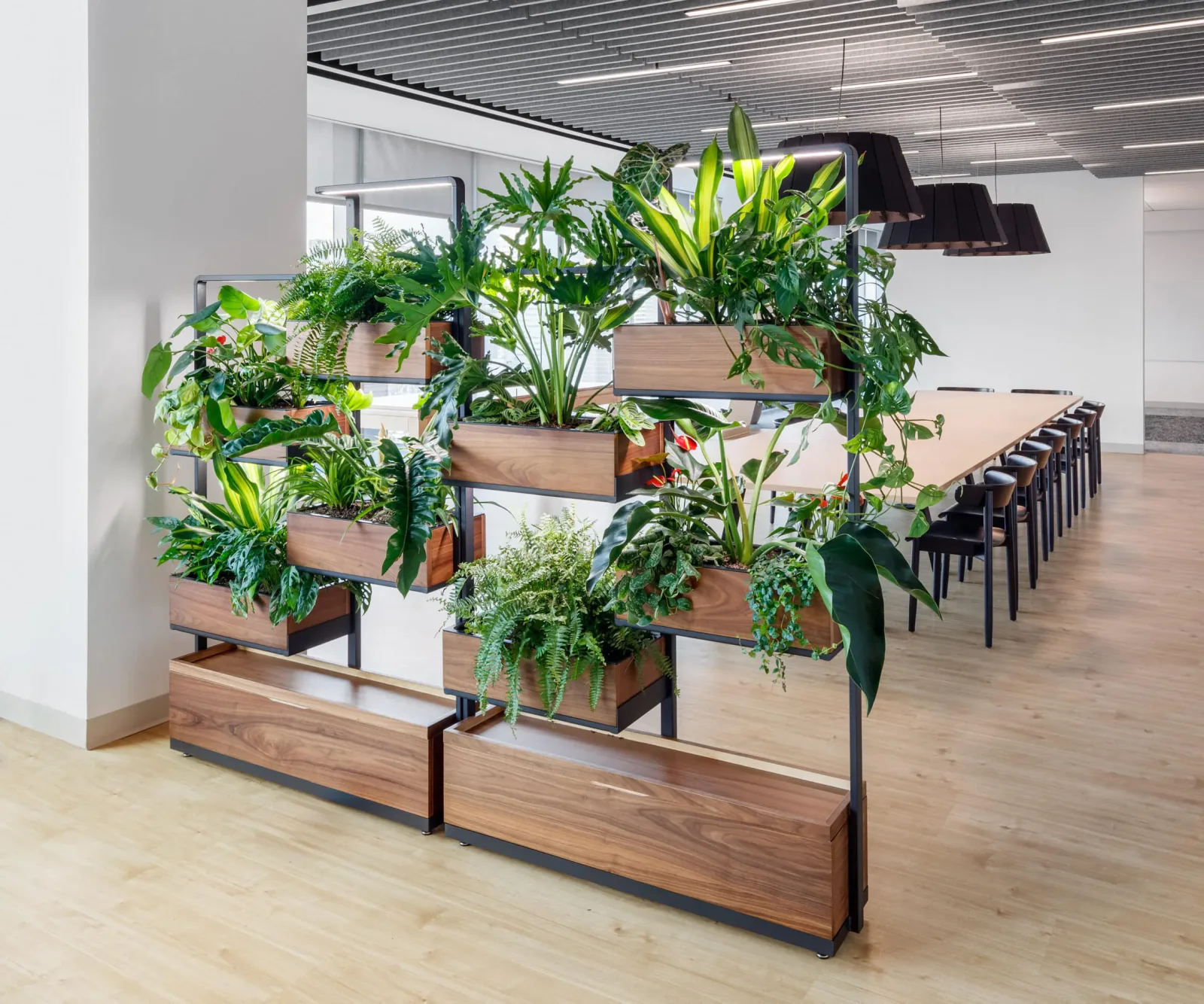 Plants installed in Green Divider close-up
