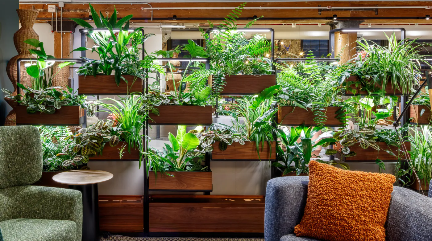 Green Divider at Chelsea Market — Year 1, dense mature foliage