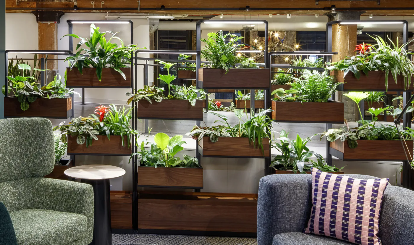 Green Divider at Chelsea Market — Month 1, early-stage plant growth